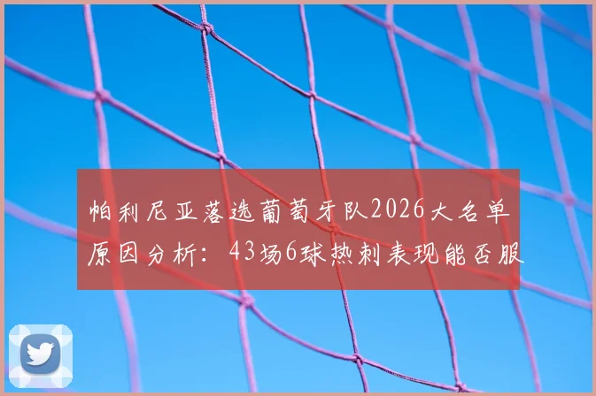 帕利尼亚落选葡萄牙队2026大名单原因分析：43场6球热刺表现能否服众，未来国家队前景几何