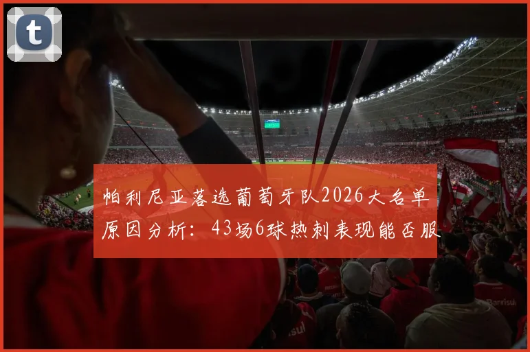 帕利尼亚落选葡萄牙队2026大名单原因分析:43场6球热刺表现能否服众,未来国家队前景几何